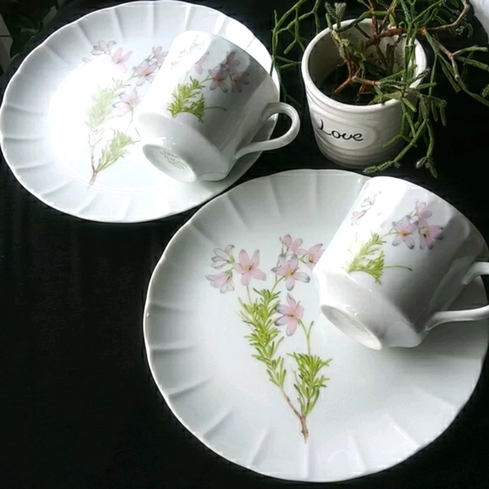 Vintage The Toscany Collection Vintage Japan Cups